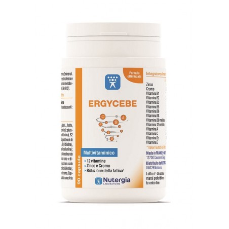 Laboratoire Nutergia Ergycebe 90 Capsule