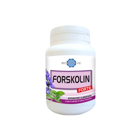 Bodyline Forskolin Forte 60 Capsule