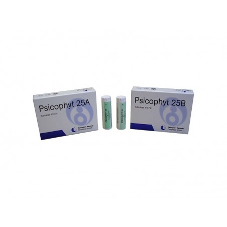 Biogroup Societa' Benefit Psicophyt Remedy 25a 4 Tubi 1,2 G