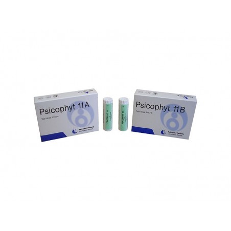 Biogroup Societa' Benefit Psicophyt Remedy 11b 4 Tubi 1,2 G