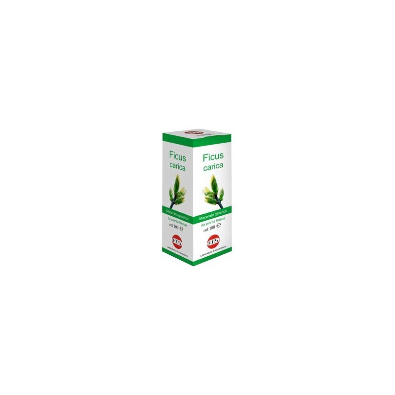 Kos Ficus Carica Mg 100 Ml Gocce