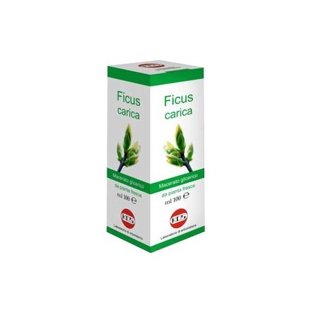 Kos Ficus Carica Mg 100 Ml Gocce