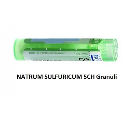 Boiron Natrum Sulf Boi 5ch 80gr 4g