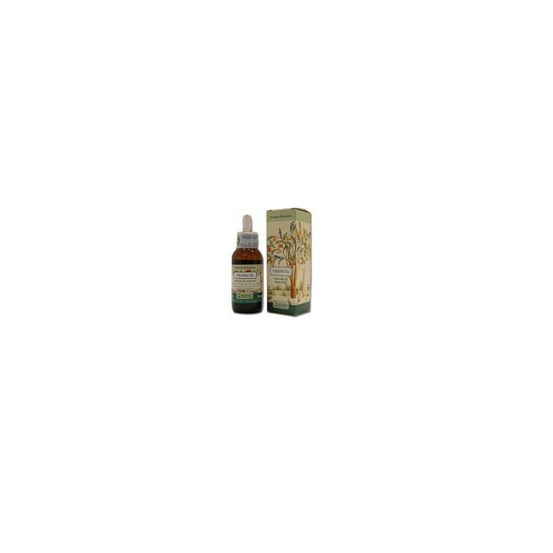 Arcangea Ursinuva 50 Ml