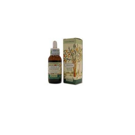 Arcangea Ursinuva 50 Ml