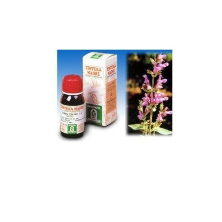 Specchiasol Salvia 25 50ml Tm