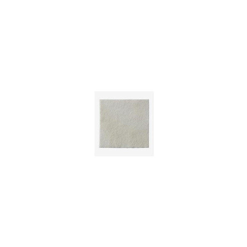 Coloplast Medicazione Biatain Alginate In Alginato E Carbossimetilcellulosa 15x15 Cm 10 Pezzi