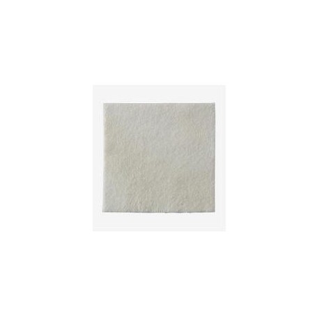 Coloplast Medicazione Biatain Alginate In Alginato E Carbossimetilcellulosa 15x15 Cm 10 Pezzi