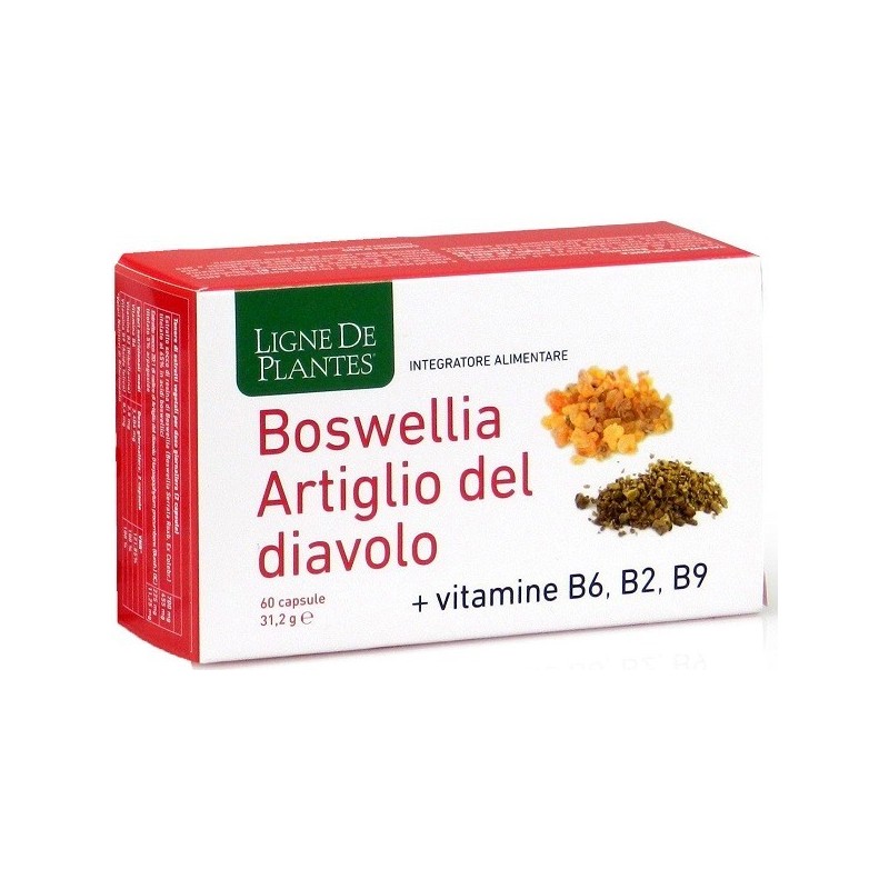 Natura Service Boswellia Artiglio Diavolo Vitamine B2 B6 B9 60 Capsule