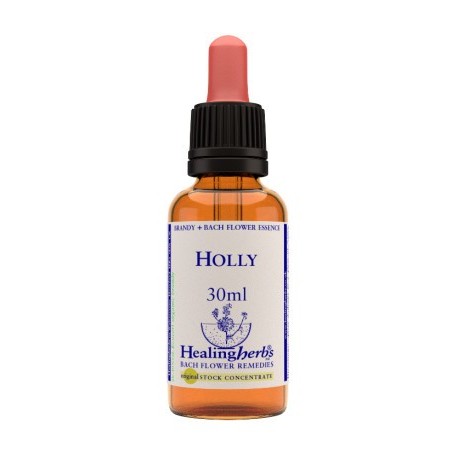 Natur Holly Essenza 30 Ml 1 Pezzo