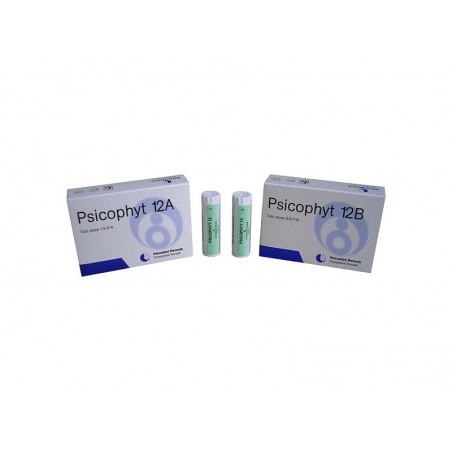 Biogroup Societa' Benefit Psicophyt Remedy 12a 4 Tubi 1,2 G