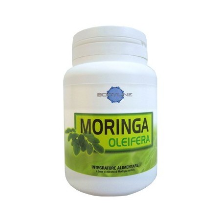 Bodyline Moringa Oleifera 60 Capsule