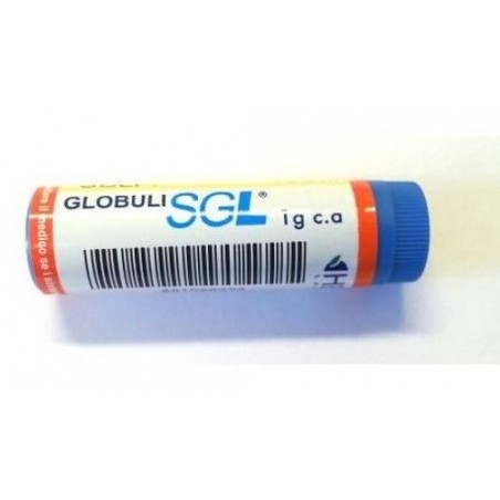 Hering Sulfur 30ch Gl 1g