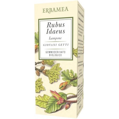 Erbamea Rubus Idaeus Lampone Bio 50 Ml