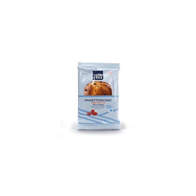 Nt Food Nutrifree Panettoncino Con Uvetta 100 G