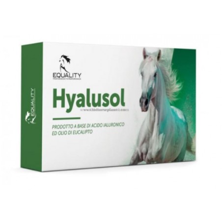 Equality Hyalusol 10 Flaconi Monodose Da 8 Ml