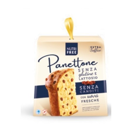 Nt Food Nutrifree Panettone Senza Canditi 600 G