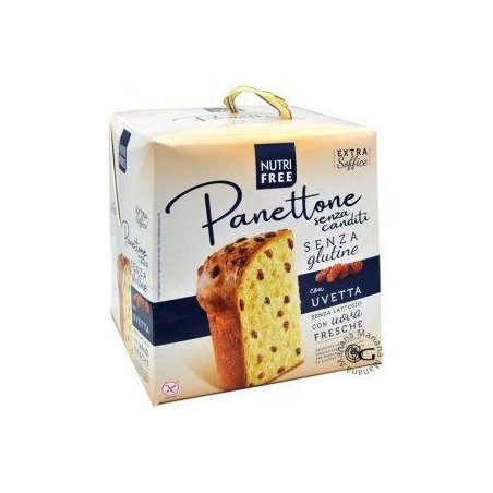 Nt Food Nutrifree Panettone Classico 600 G