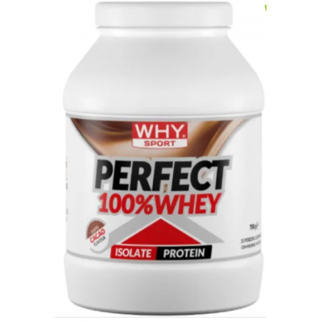 barattolo 900 gr perfect 100% whey cacao