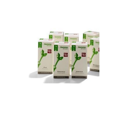 Fitomedical Fico Macerato Glicerico 100 Ml