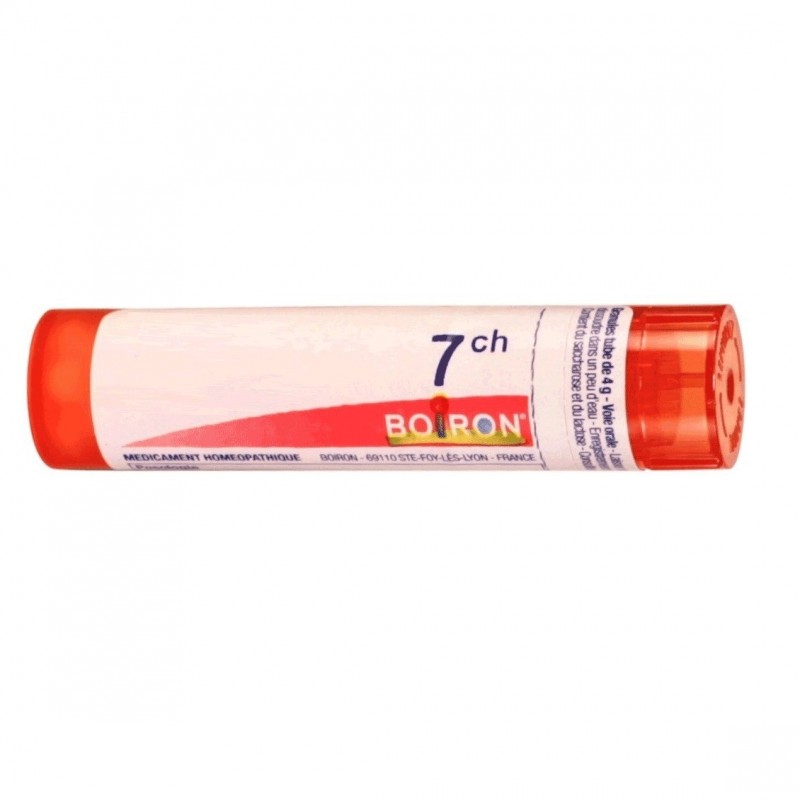 Boiron Selenium Met Boi 7ch 80gr4g