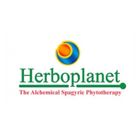 Herboplanet Bronchiol 100 Ml