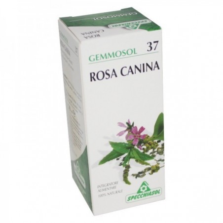 Specchiasol Gemmosol 37 Rosa Canina 50ml