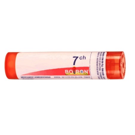 Boiron Fluoricum Ac Boi 7ch 80gr 4g