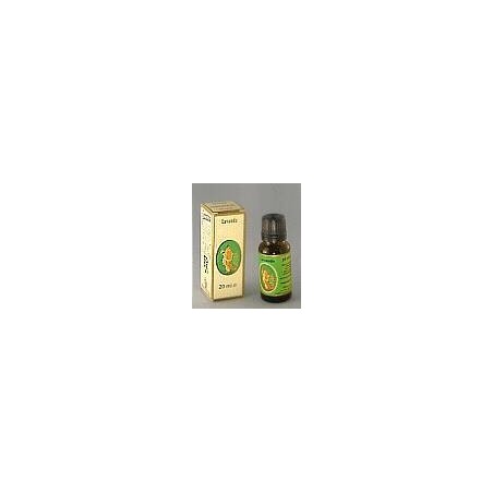 Flora Lavanda Vera Olio Essenziale Demeter 10 Ml