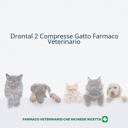 Gmm Farma Drontal Compresse Per Gatti