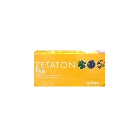 Zeta Farmaceutici Zetaton Plus 12 Fiale X 10 Ml