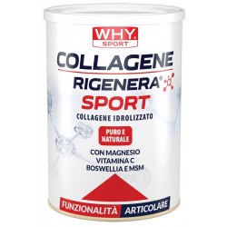 barattolo 336 gr di whysport collagene rigenera sport