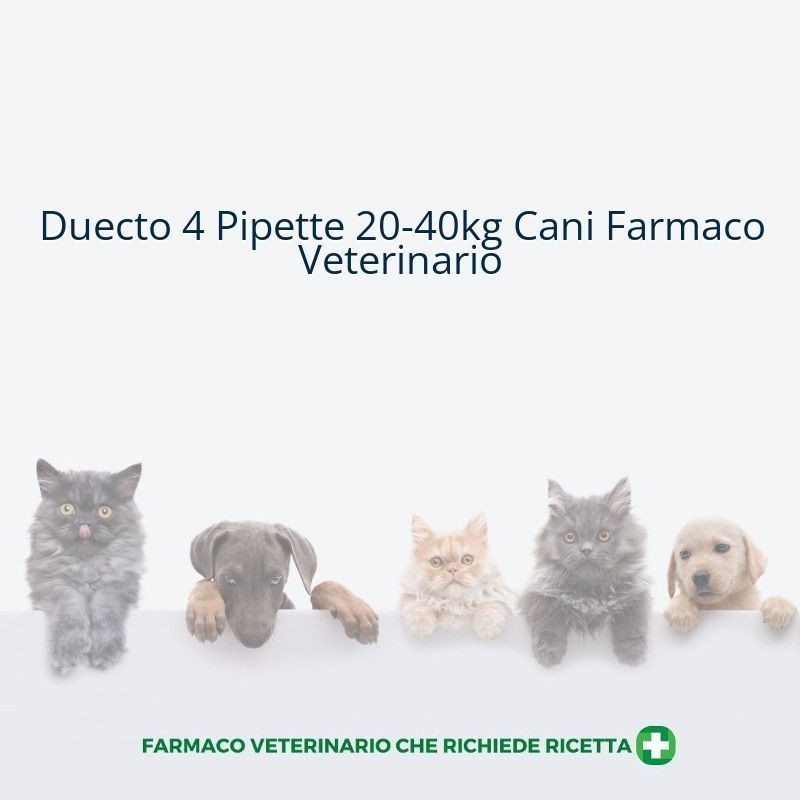 Duecto 20-40 kg 4 pipette per cani