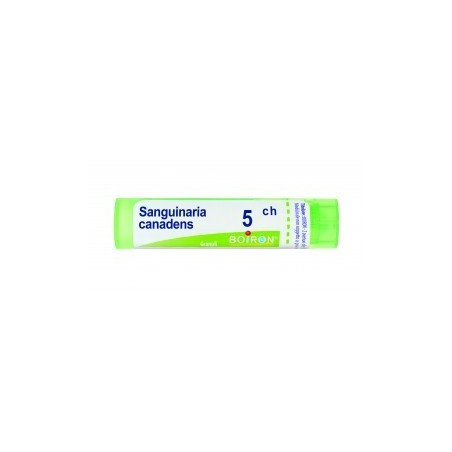 Boiron Sanguinaria C Boi 5ch 80gr 4g