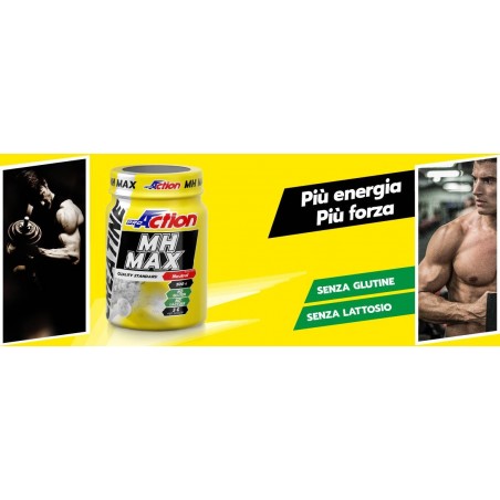 Proaction Creatine Mh Max 500 G