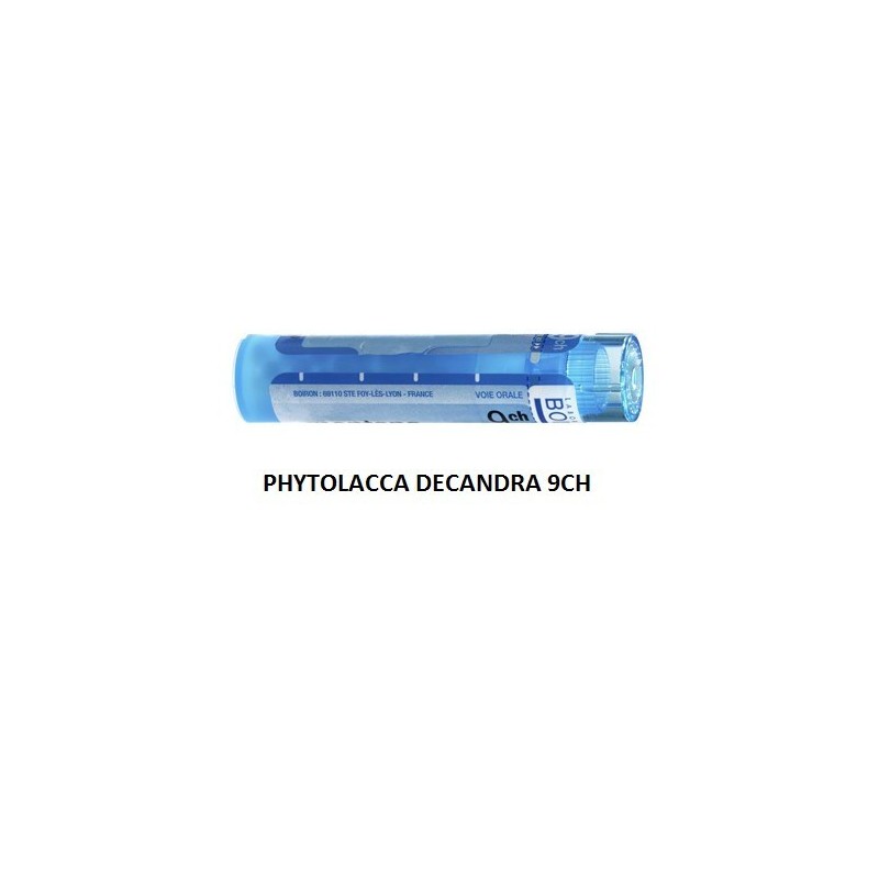 Boiron Phytolacca De Boi 9ch 80gr