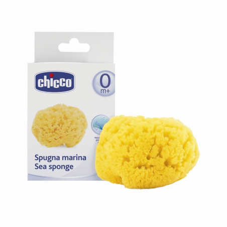 1 pezzo di Spugna Marina Naturale Chicco