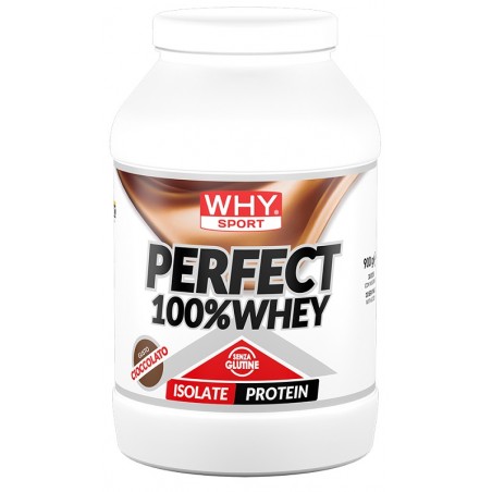 barattolo 900 gr whysport perfect 100% whey cioccolato