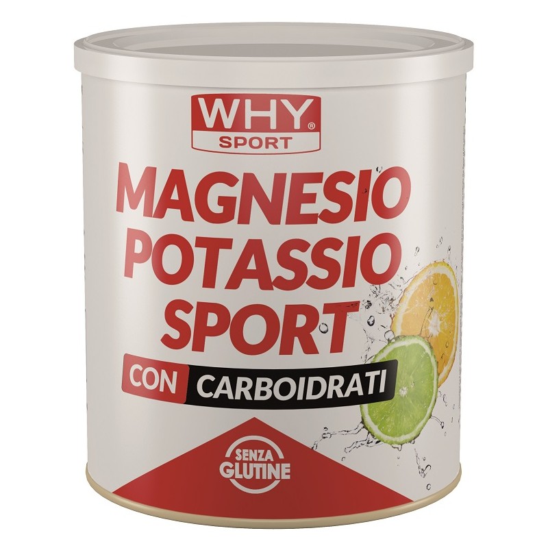 barattolo 300 gr whysport magnesio potassio