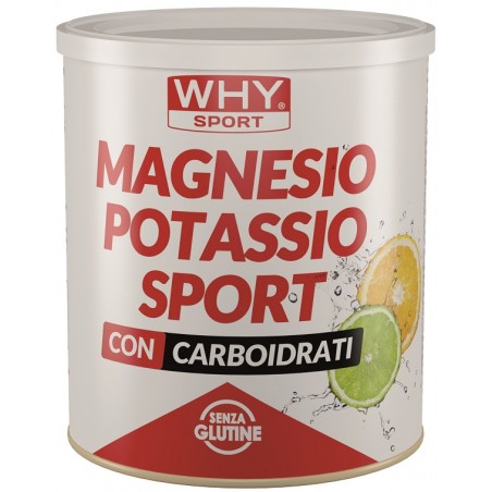 barattolo 300 gr whysport magnesio potassio