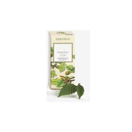 Erbamea Betula Verrucosa Linfa Gemmoderivato Bio 50 Ml