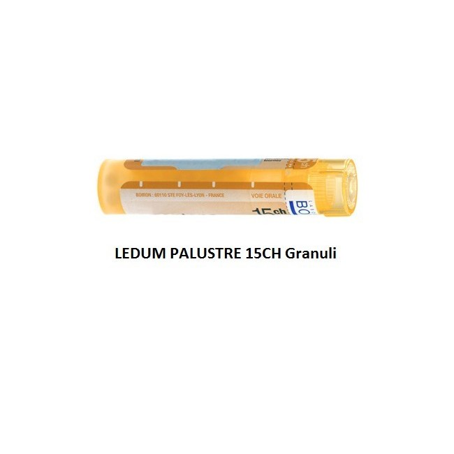 Boiron Ledum Palustre Boi 15ch 80gr4g