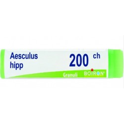 Tubo dose globuli 1g di Aesculus Hippocastanum 200ch Boiron