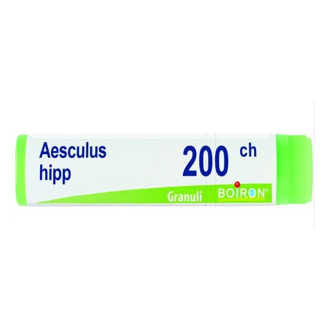 Tubo dose globuli 1g di Aesculus Hippocastanum 200ch Boiron