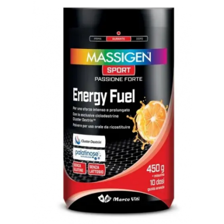 Marco Viti Massigen Sport Energy Fuel 500 G