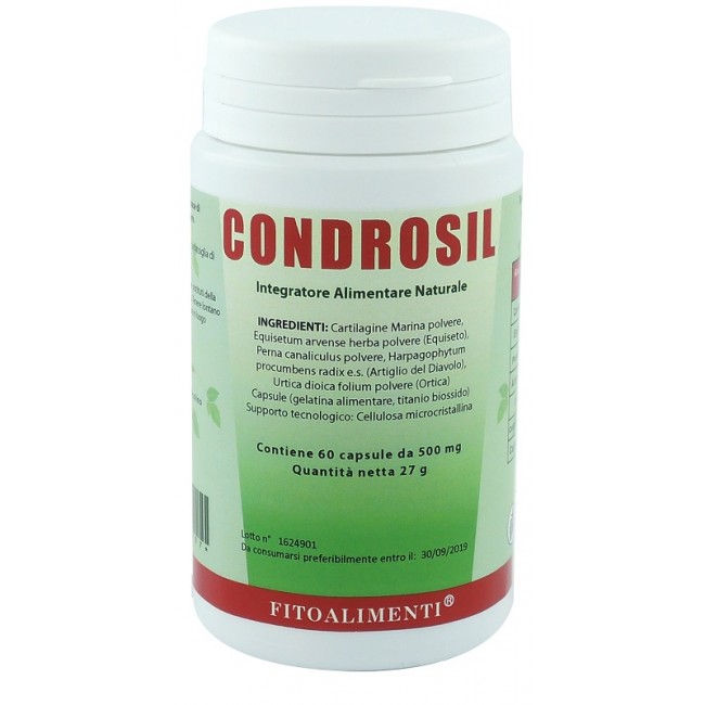 Euronatur Group Condrosil 60 Capsule