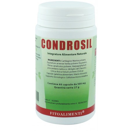 Euronatur Group Condrosil 60 Capsule