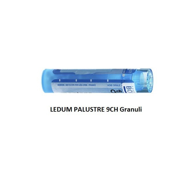 Boiron Ledum Palustre Boi 9ch 80gr 4g