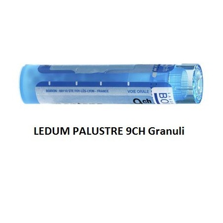 Boiron Ledum Palustre Boi 9ch 80gr 4g