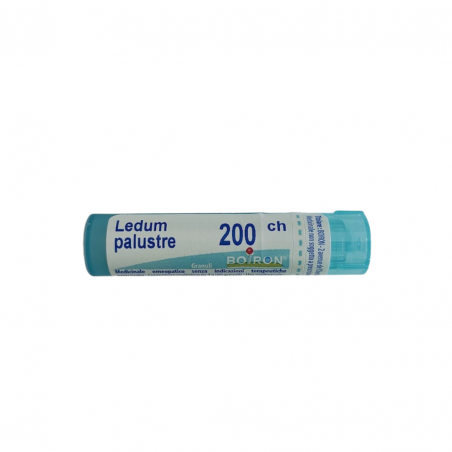 Boiron Ledum Palustre Boi 200ch80gr4g